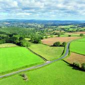 Contrastant avec le secteur végétal, la production animale bondit de 10,1 % en valeur. Cette performance est presque exclusivement due à une envolée des prix. Photo Actuagri