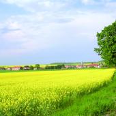 Pour le Département, l’agriculture doit rester une activité économique de premier ordre. Photo DR