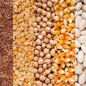 Pour Pierre Pagès :  "on ne fera pas de semences sans agriculteurs". Photo Actuagri