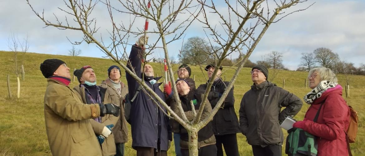 Les stagiaires s’exercent à la pratique de la taille des arbres fruitiers. Photo DR