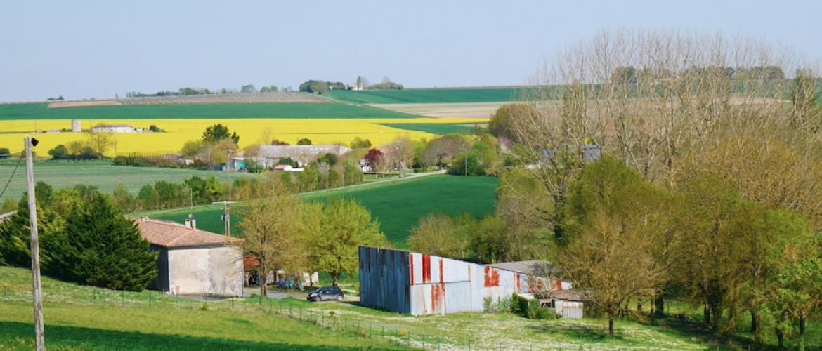 Chaque éleveur ayant au moins un bâtiment d’élevage en zones vulnérables doit vérifier s’il répond à toutes les contraintes et envoyer le formulaire avant le 30 juin s’il souhaite bénéficier d’un délai d’un an. Photo Actuagri