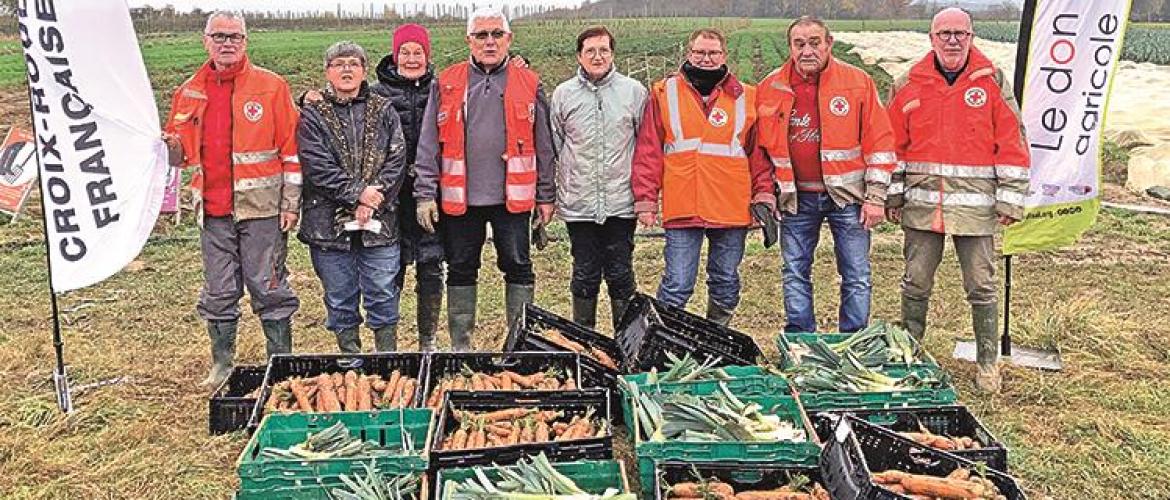 Les bénévoles de la délégation territoriale de la Croix Rouge de Moselle ont récolté 240 kg de produits extra-frais. Photo : Amandine PASQIUER