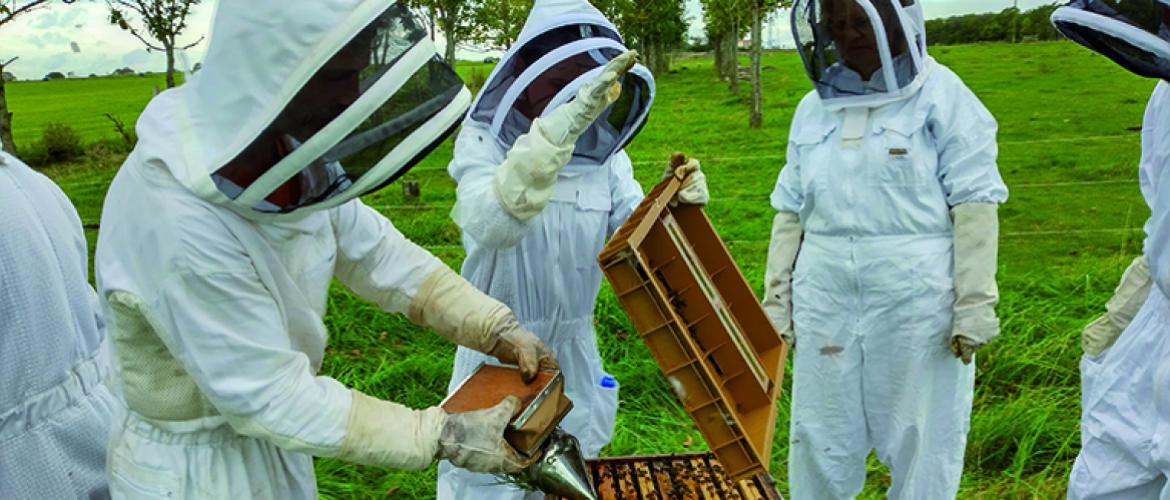 Les apprenants, novices pour la plupart, se sont transformés, en quelques semaines, en apiculteurs et apicultrices en herbe 