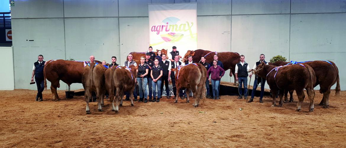 En coulisse de la dixième édition d’Agrimax, se partage l’hypothèse d’un national Limousin à Metz. Photo : DR