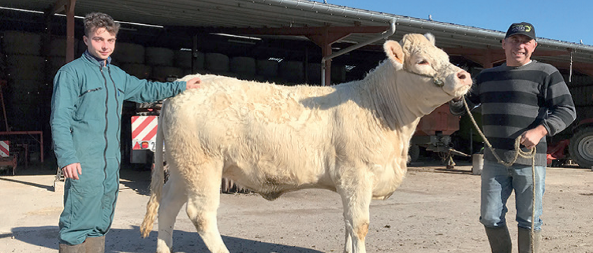 Gaëtan Albrech, à droite, est, cette année, aidé par son apprenti Victor, ce qui lui permet de fouler à nouveau les rings d’Agrimax avec la génisse Perette. Photo Mélissa WACHS