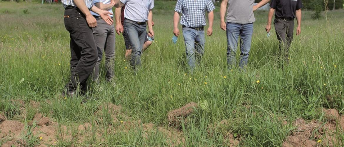 L’état des prairies dégradées par les sangliers rend impossible la pratique de la fauche. Photo : P.Divoux