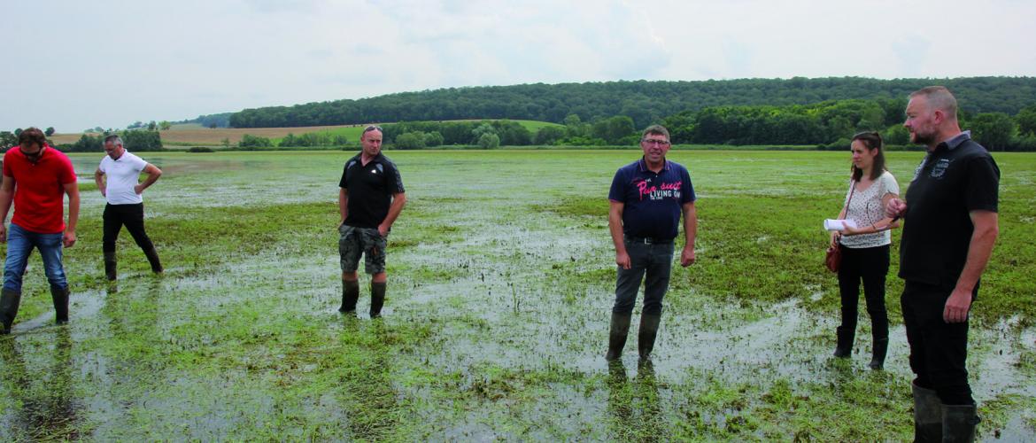 Pour la profession agricole, l’entretien des cours d’eau et des fossés sera un des leviers le plus efficace pour atténuer les conséquences des crues. Photo : P.Divoux