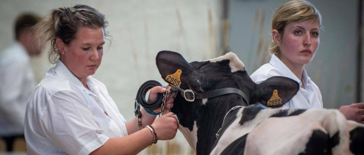 Émilie Knecht (à gauche), premier prix de section sénior du concours meneurs, pour cette dixième édition du salon professionnel Agrimax. Photo : DR