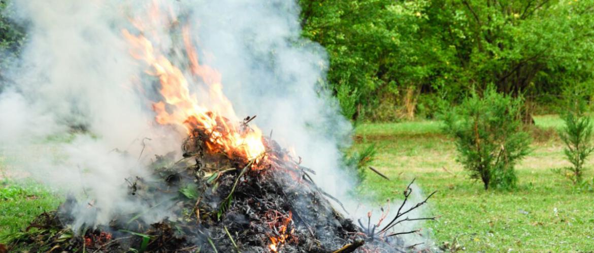 Le brûlage de déchets verts par les exploitants est soumis à conditions. Photo DR
