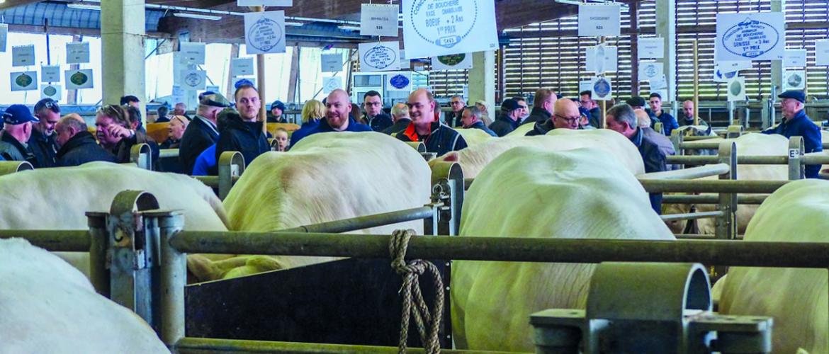 Les visiteurs étaient nombreux dans les allées de la halle aux  bestiaux, mercredi 2 avril. Photo DR