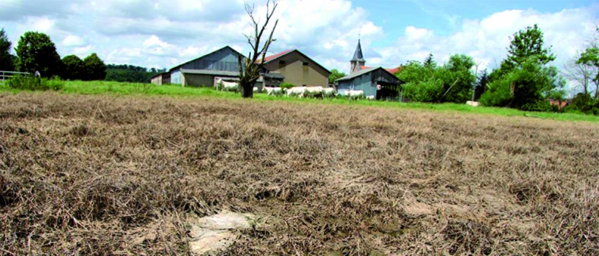 Les exploitants agricoles sont autorisés à brûler les fourrages souillés par les eaux et coulées de boue. Photo DR