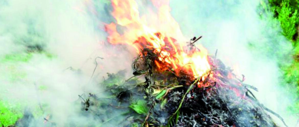 Le brûlage de déchets verts par les exploitants est soumis à conditions. Photo DR