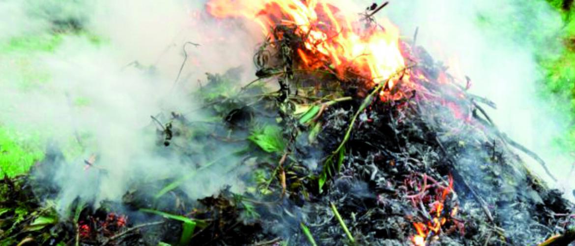 Le brûlage de déchets verts par les exploitants est soumis à conditions. Photo DR