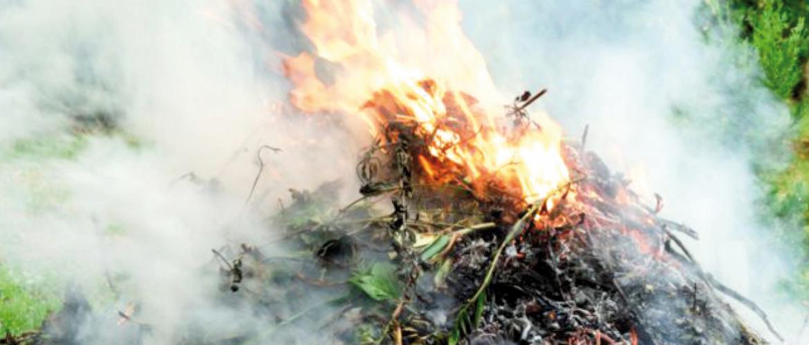 Les exploitants agricoles sont autorisés à brûler leurs déchets verts tels que les résidus de taille. Photo DR