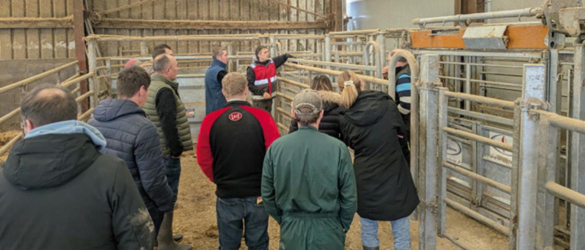 Le groupe étudie le système de contention en demi-lune au sein de l’Earl du Haras. Photo Caaa 57