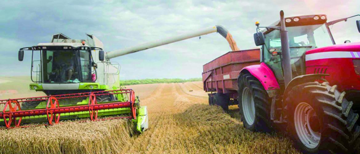 Les cours des grains dans l’Union européenne ou aux États-Unis ont gagné des dizaines d’euros depuis la mi-juillet. Photo Actuagri