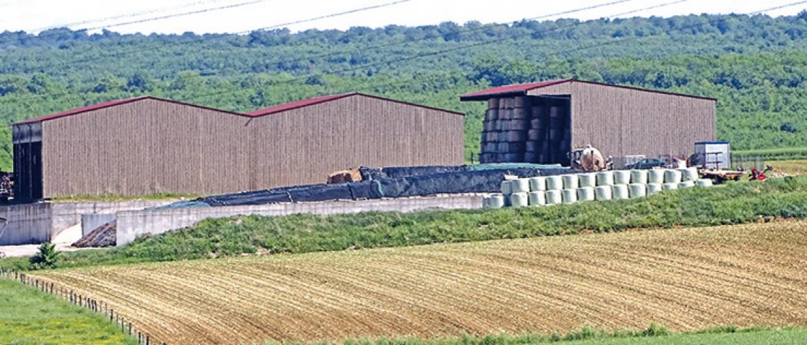 La transmission successorale du bien se fait automatiquement au profit de l’ayant droit participant ou ayant participé à l’exploitation. Photo DR