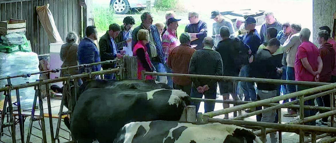 Pour la septième circonscription, le jeudi 9 juin, l’exploitation de Sylvie Frisch à Halling-lès-Boulay a accueilli Hélène Zannier, Anne Boucher, Clément Galante, Hervé Hocquet, Alexandre Loubet et Luc Muller. Photo DR