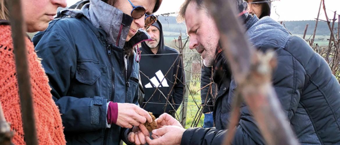Après une matinée en salle, les viticulteurs lorrains ont pu mettre en pratique les apprentissages. Photo DR