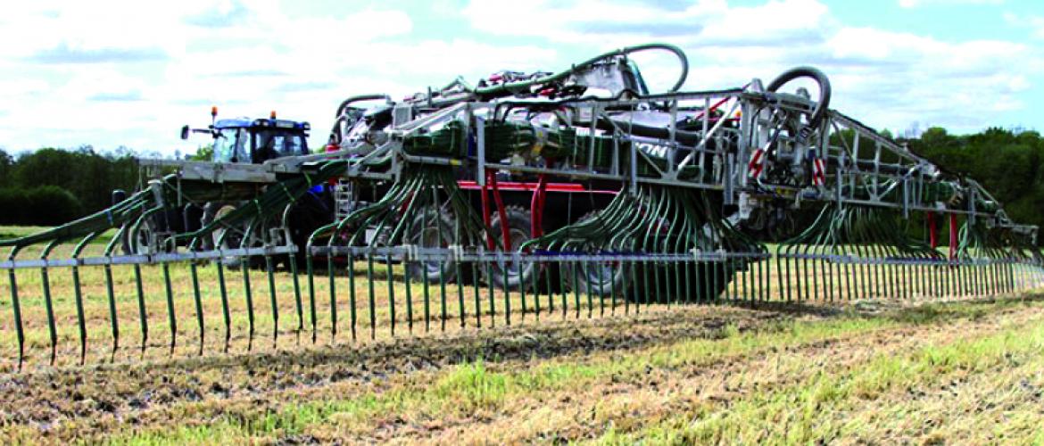 Il est possible d’épandre des effluents de type II jusqu’au 15 novembre sur cultures d’automne et couverts végétaux d’interculture. Photo DR