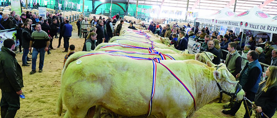 Le concours était placé sous le signe de la jeunesse. Photo DR