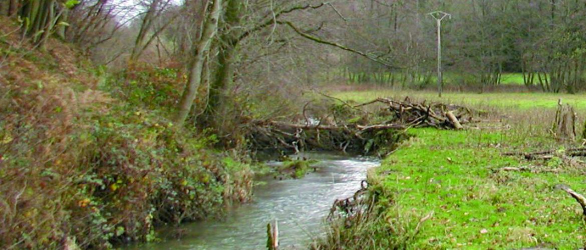 Embâcle obstruant le cours d’eau : à retirer avant que la situation n’empire. Photo LH