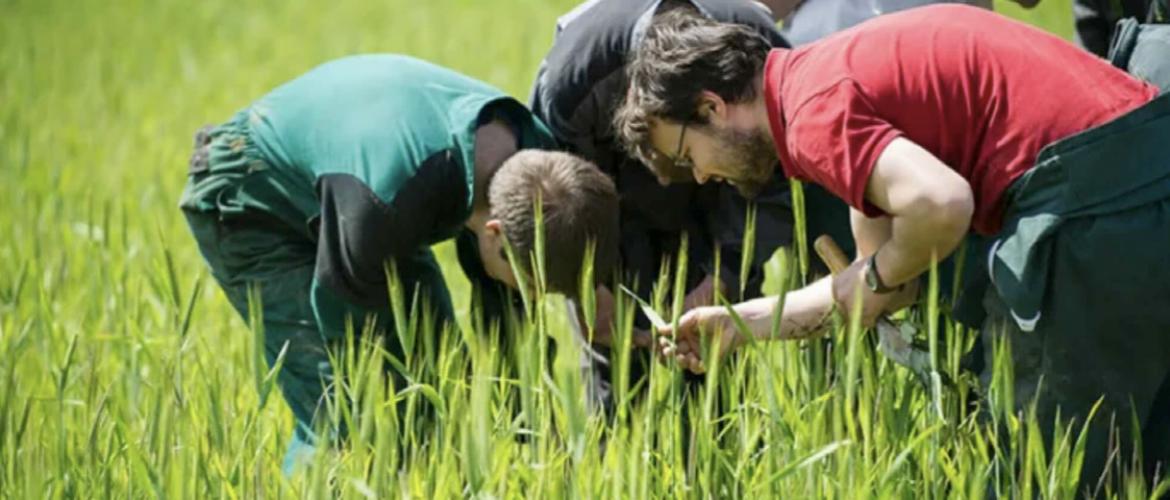 L’enseignement agricole compte plus de 800 établissements et 230 exploitations ou ateliers technologiques. Photo DR