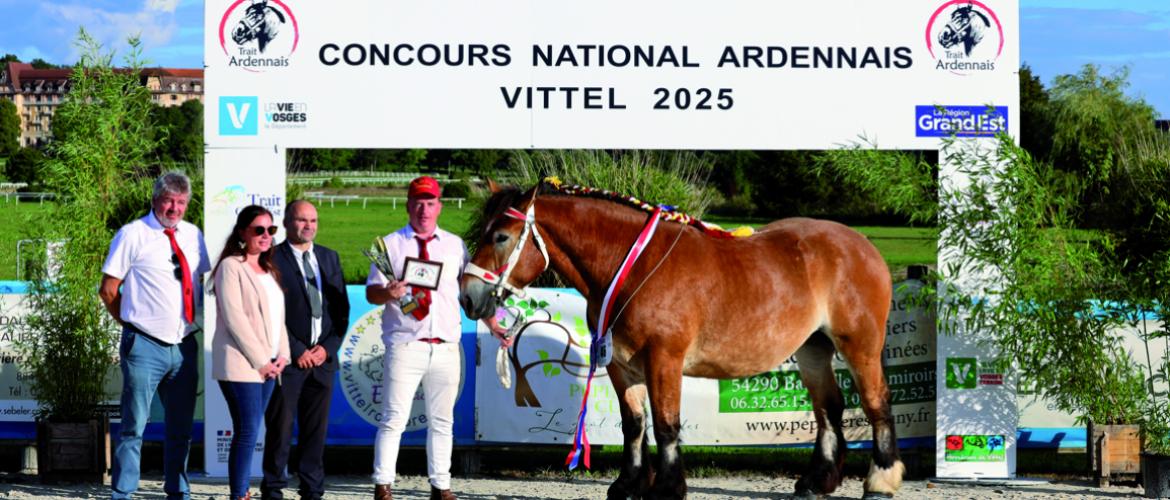 Majesté du Wolfert menée par Paul Rechenmann du Gaec de la Steine, Championne Espoir au concours national Ardennais de Vittel 2025. Photo DR