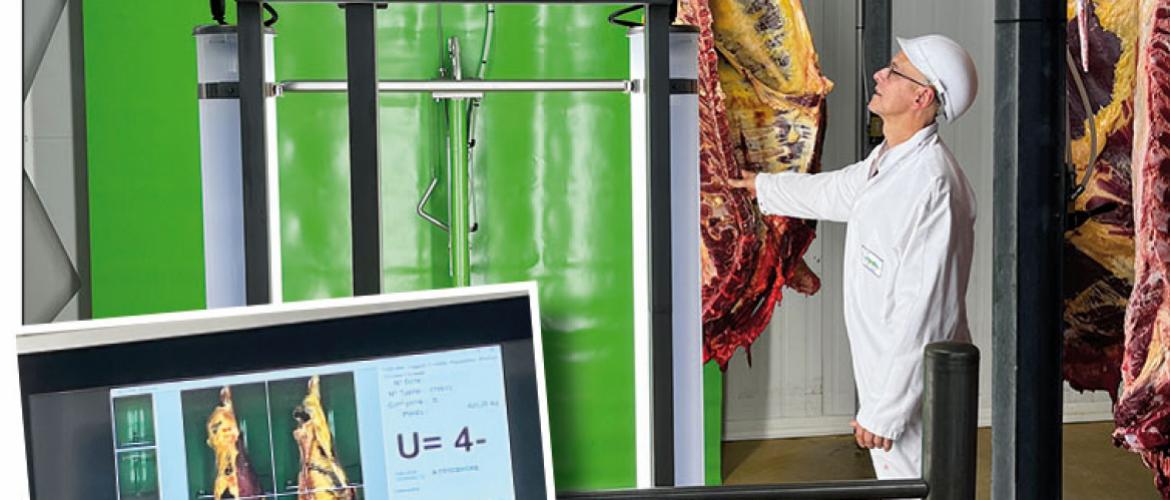Après un passage de la carcasse devant la caméra, l’intelligence artificielle de la machine à classer s’appuie sur une base de données de 65.000 photos pour établir une proposition de classement. Photo YD Après un passage de la carcasse devant la caméra, l’intelligence artificielle de la machine à classer s’appuie sur une base de données de 65.000 photos pour établir une proposition de classement. Photo YD