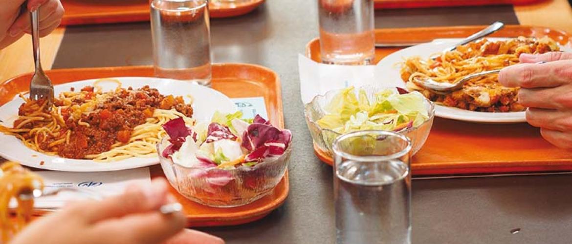 En 2026, le bio à la cantine est devenu moins politique. Photo DR