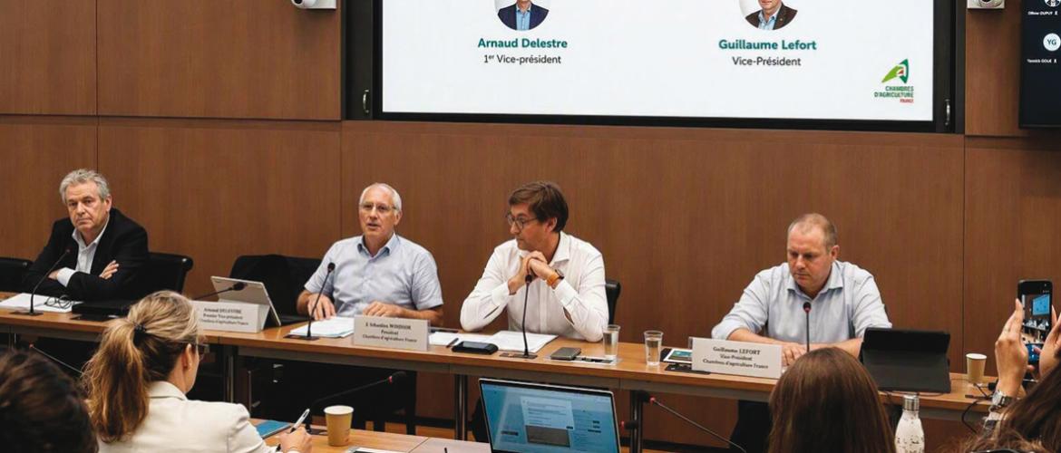 Les dirigeants de Cdaf jugent le montant du plan d’urgence (canicule, sécheresse, incendies-Casi) annoncé le 4 septembre par le gouvernement «en décalage avec l’ampleur des pertes». Photo Actuagri