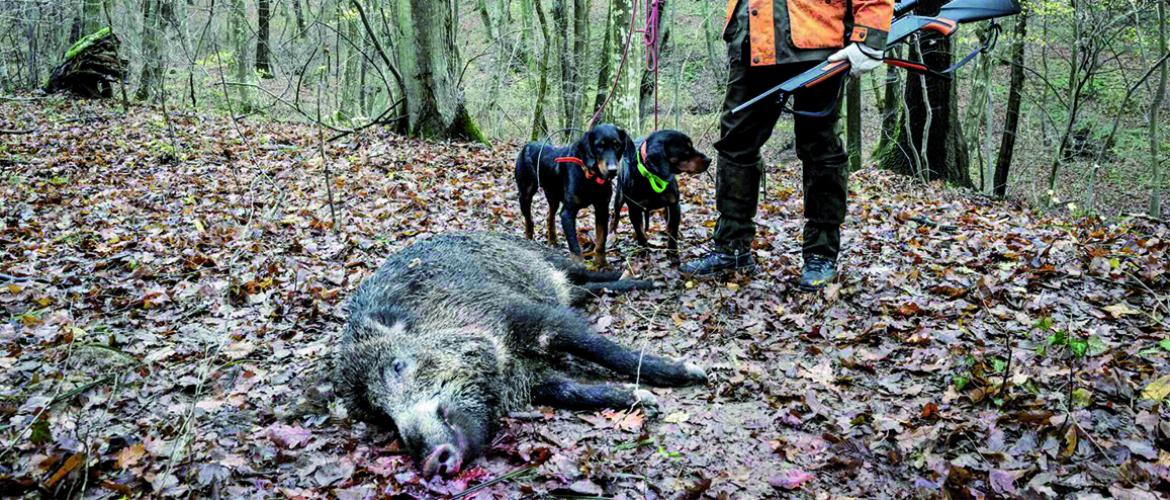 Les utilisateurs de la lunette thermique doivent faire remonter leurs tableaux de chasse. Photo Actuagri