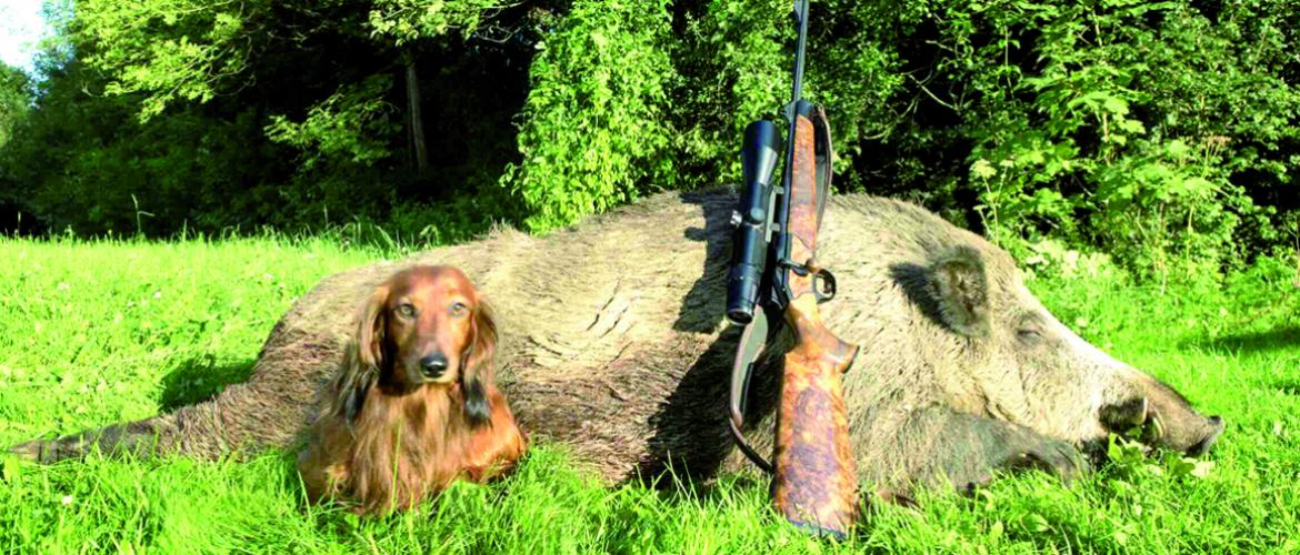 La Fdsea avait appelé son réseau à se mobiliser pour peser dans le sens de la sectorisation, pour l’appel de la contribution complémentaire.  Photo Actuagri