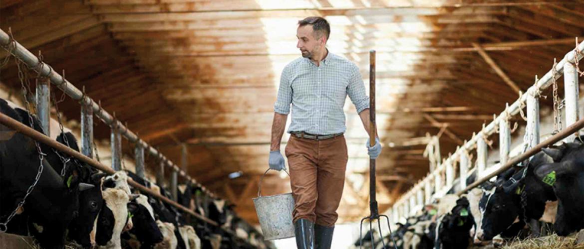 En France, les 1.000 litres étaient réglés 494 € en octobre dernier, soit 5,7 % de plus qu’en 2024. Photo actuagri