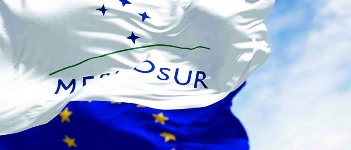 Le gouvernement français a fait savoir qu’il ne comptait pas baisser les bras, et que le combat continuait au Parlement européen. Photo Actuagri