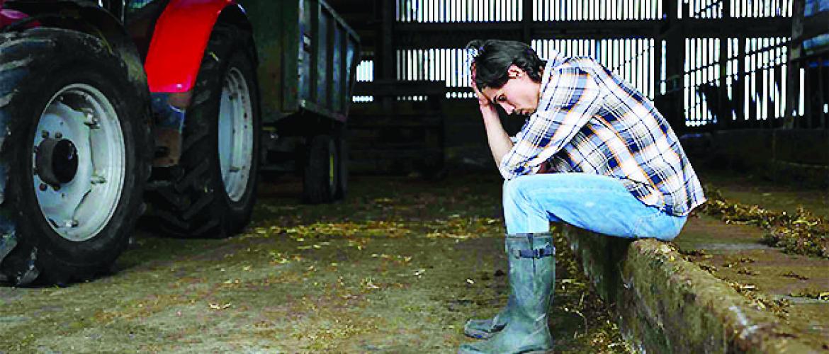L’ensemble des organisations agricoles travaille à «détecter le plus tôt possible pour agir vite». Photo Actuagri