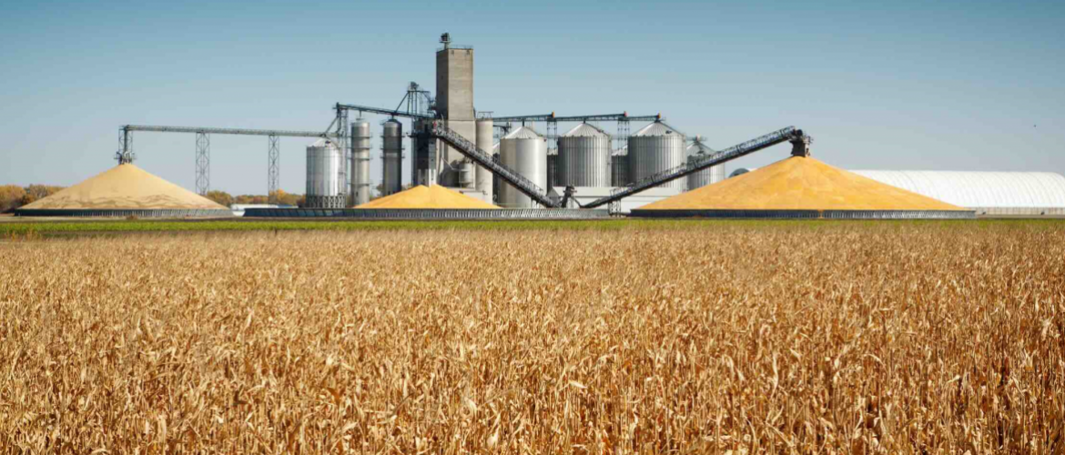 Selon Maxime Godart (Dg Timac Agro France), la France devrait s’inspirer des pays qui ont une réelle culture du stockage. Photo Actuagri