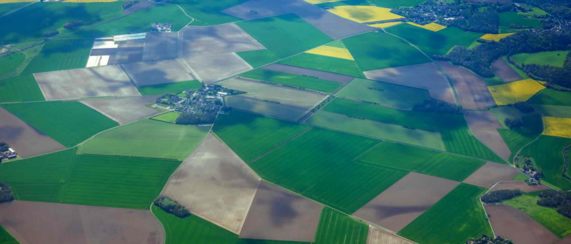 « La souveraineté alimentaire ne peut pas attendre 2027 », estime Luc Smessaert. Photo iStock.