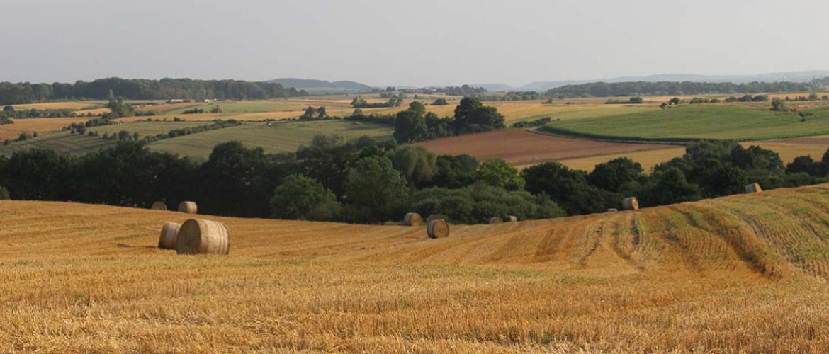 En pleine période de travaux des champs, il convient également d’être attentif aux mails transmis  par la Ddt et qui demandent réponse, notamment concernant les doublons, feux rouges ou contrôle sur la mise à disposition des terres. YD