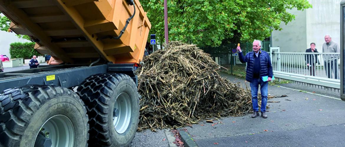 Les agriculteurs de la Fdsea ont rapporté aux chasseurs un échantillon de cannes de maïs détruites par les sangliers. Photo Cédric Coillot