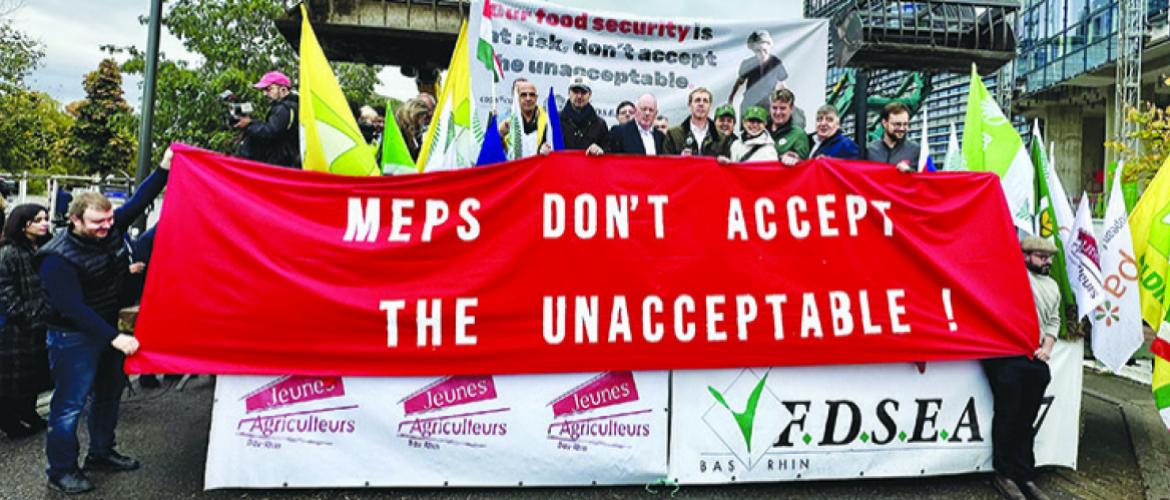 Une manifestation aux accents européens, mardi 21 octobre à Strasbourg. Photo Lucie d’Agosto