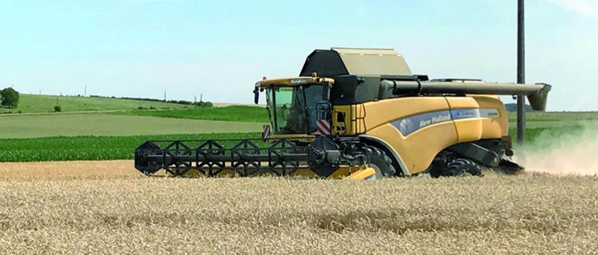 La moisson s’est considérablement accélérée fin juin avec des bennes d’orge d’hiver, de colza et de blé qui arrivaient au silo. Photo YD La moisson s’est considérablement accélérée fin juin avec des bennes d’orge d’hiver, de colza et de blé qui arrivaient au silo. Photo YD
