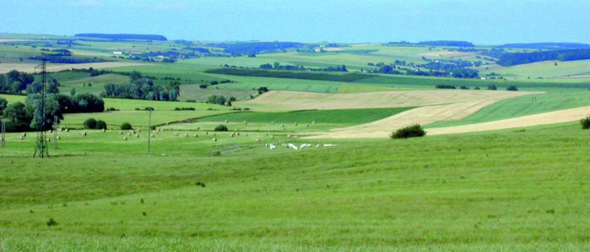 La Fdsea 57 appelle les élus locaux à ne pas augmenter la pression fiscale sur les terres agricoles. Photo DR