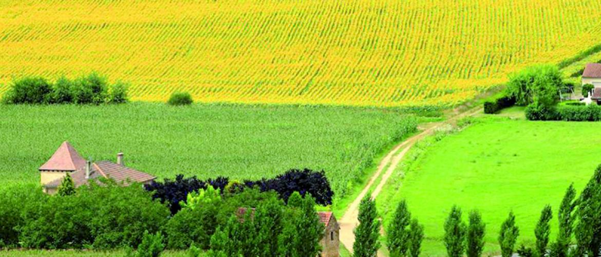 En 2024, le taux moyen communal de la Tfnb s’élève en Moselle à 47,28 %, soit plus du double du taux des trois autres départements lorrains. Photo Actuagri