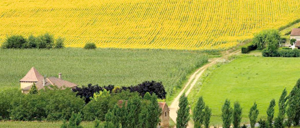 Pour connaître le montant du fermage 2025, il conviendra de majorer le fermage 2024 de 0,42 %. Photo DR