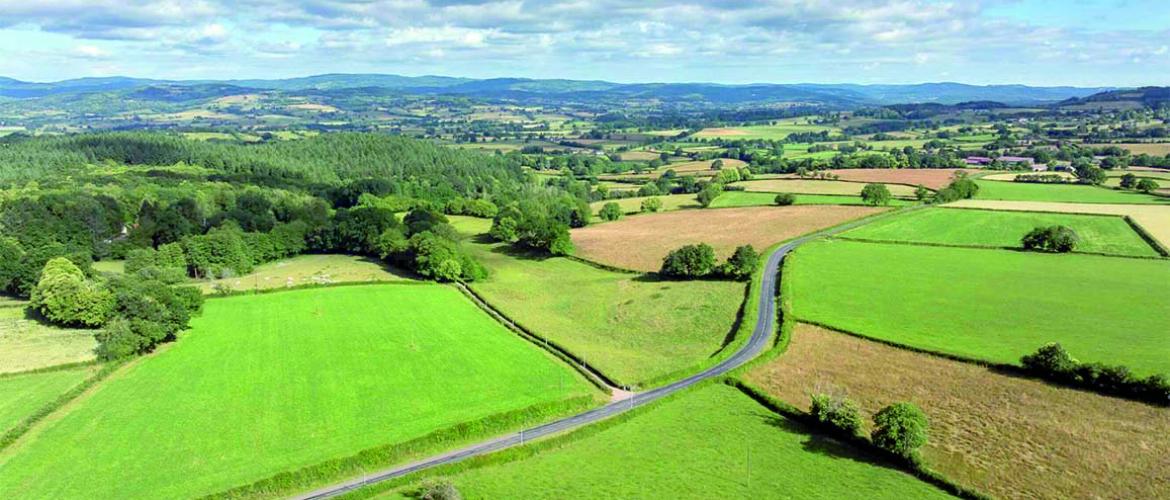 Contrastant avec le secteur végétal, la production animale bondit de 10,1 % en valeur. Cette performance est presque exclusivement due à une envolée des prix. Photo Actuagri