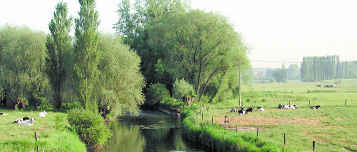 Avec les fortes précipitations des derniers mois, les niveaux des cours d’eau restent élevés. Photo DR
