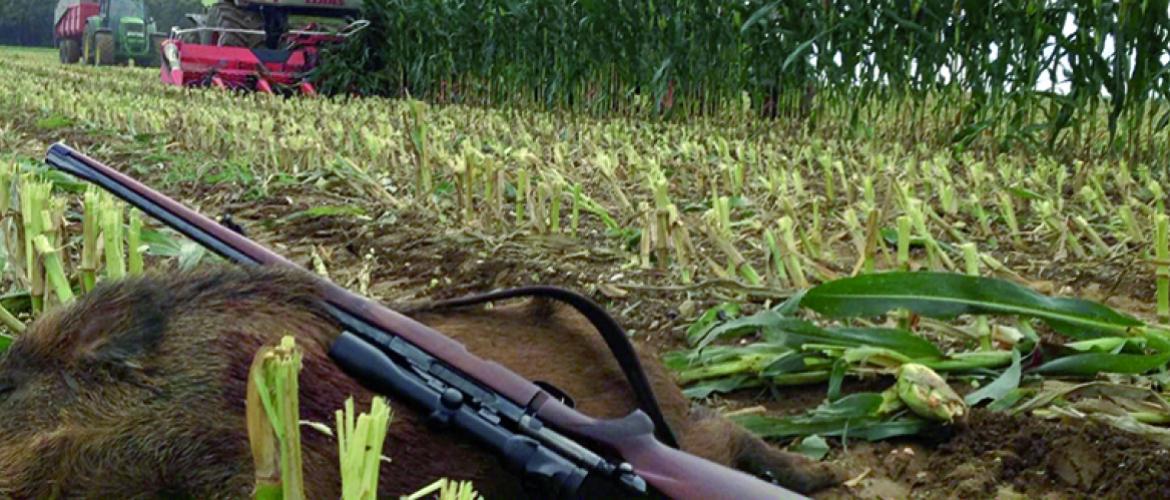La déclaration, la pose de panneaux « chasse en cours » et le port de gilet fluo sont obligatoires. Photo DR