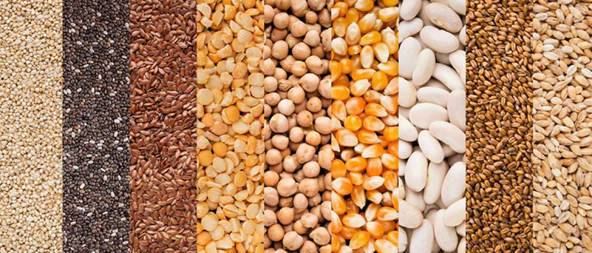 Pour Pierre Pagès :  "on ne fera pas de semences sans agriculteurs". Photo Actuagri