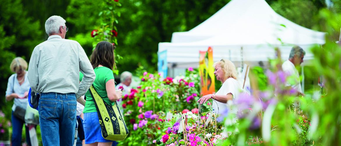 De nombreux exposants seront présents le week-end des 21 et 22 mai dans les jardins de l’établissement pour la quatorzième édition du Printemps au Château d’Urville. Photo S. Galonnier